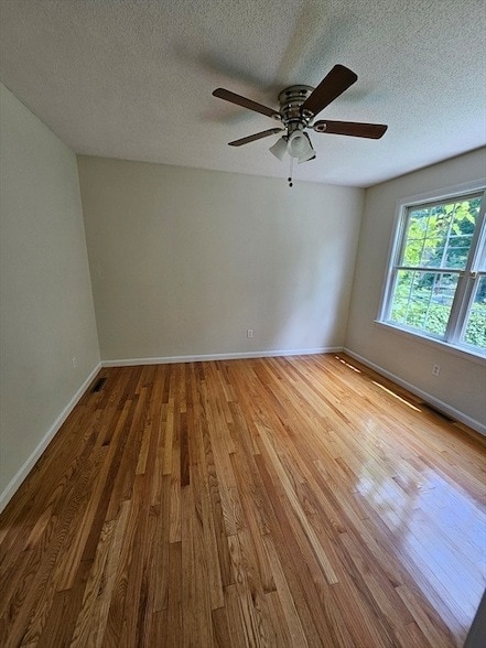 Building Photo - 61 Lawe St