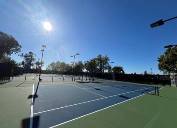 Tenis - 24498 Copper Cliff Ct