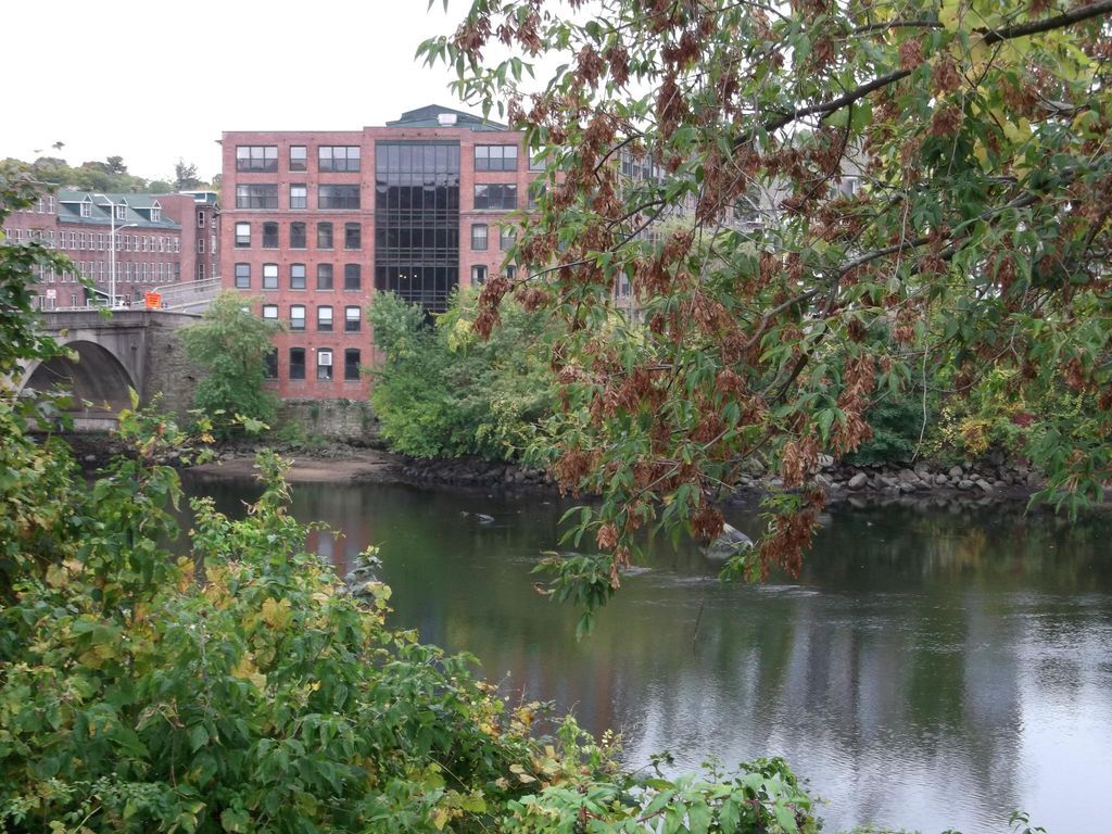 145 Canal St E Unit 116, Shelton, CT 06484 Condo for Rent in Shelton