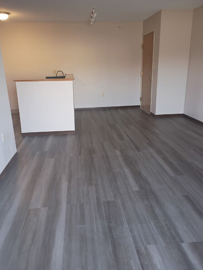 Foto del edificio - 1 Bedroom |1 Bathroom 1st Floor Unit in Oelwein - Available June!