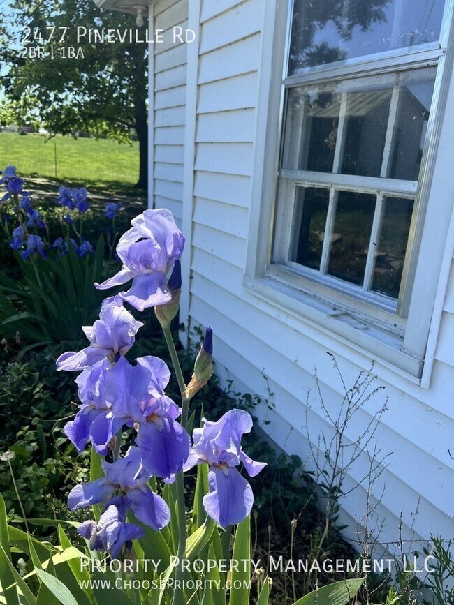 Building Photo - The Joy of the Country Farmhouse with Hard...
