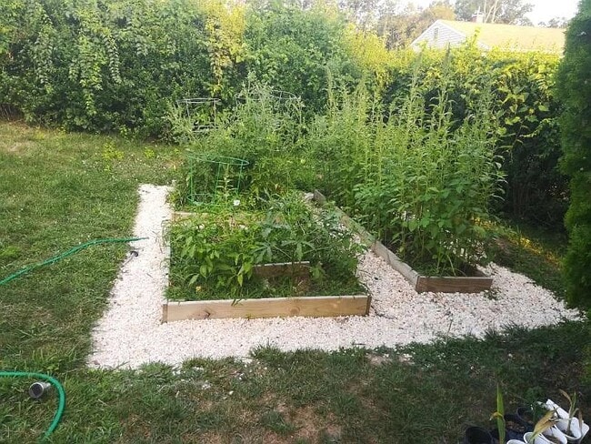 Building Photo - 7823 Perry Rd