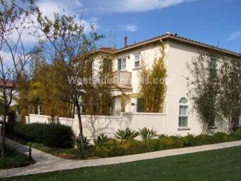 NA - 33 Pepper Tree Ln