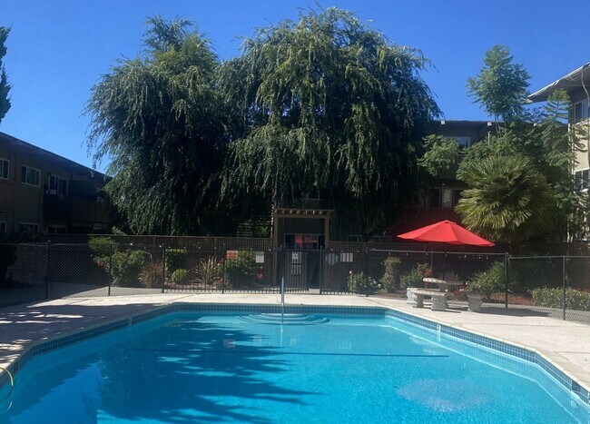 Building Photo - 959 Torrano Ave