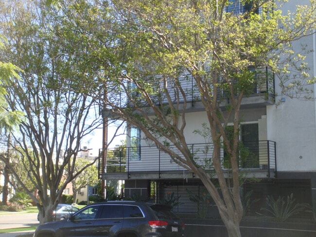 Tree lined street - 12324 Moorpark St