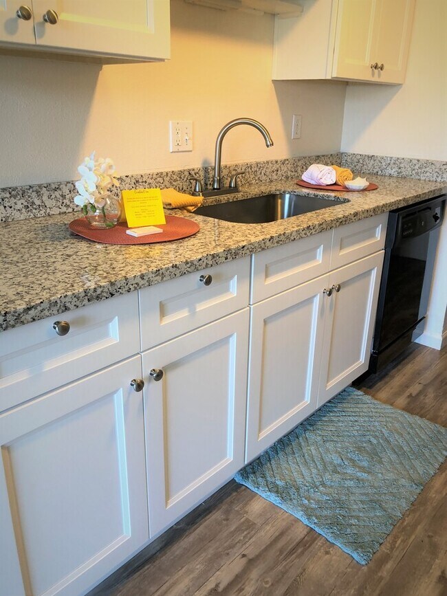 Building Photo - Newly Renovated-No deposit+first 4 weeks FREE