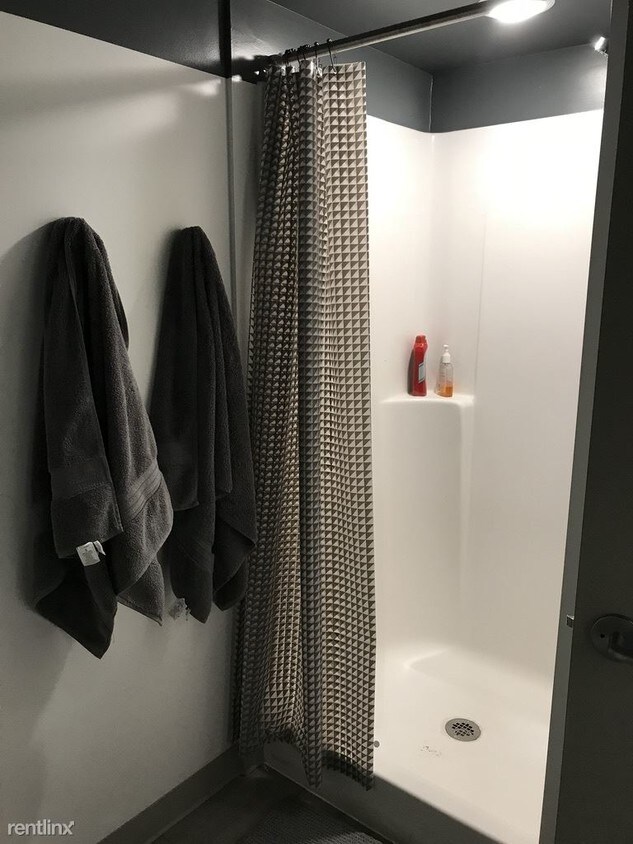 Primary Photo - 4 br, 2 bath Apartment - The Lux