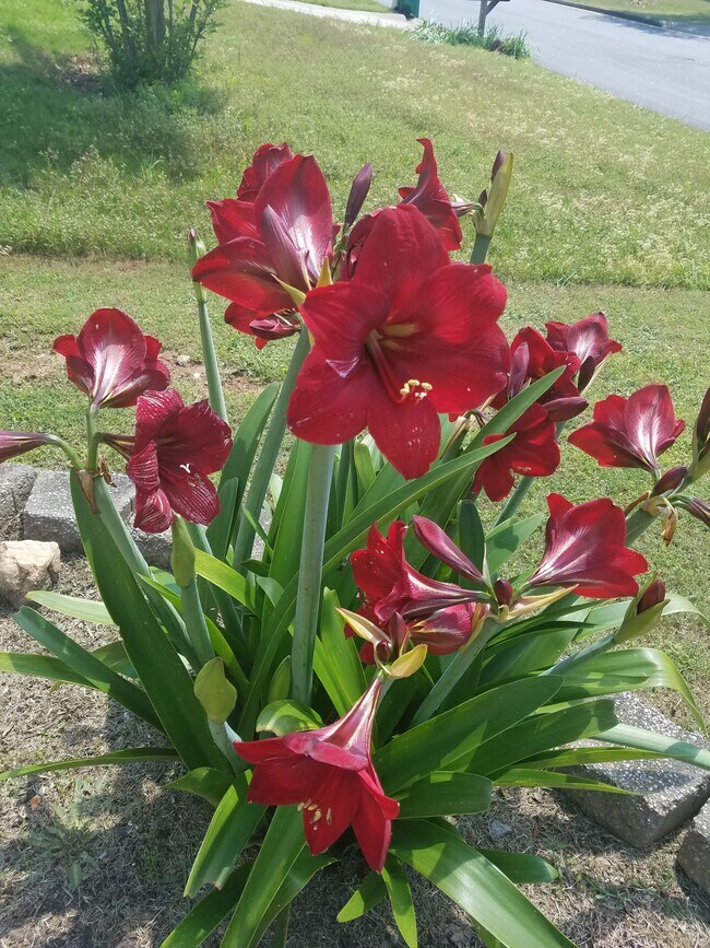 Foto del edificio - 3191 Palm Tree Dr