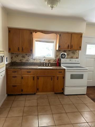 Building Photo - 36 Oakland Ave