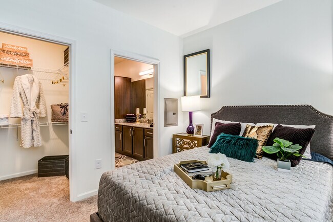 Foto del interior - Allure Apollo