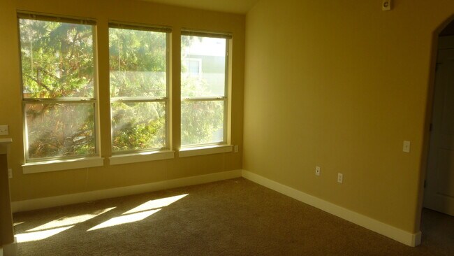 Foto del edificio - Great 1/1 unit in Chestnut Commons 78702