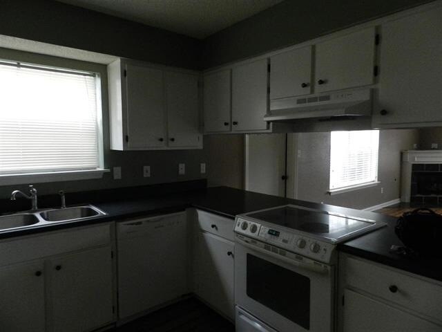 Foto del edificio - 3404 Daylily Ln