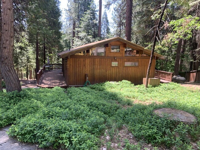 Building Photo - Adorable cabin in the woods!