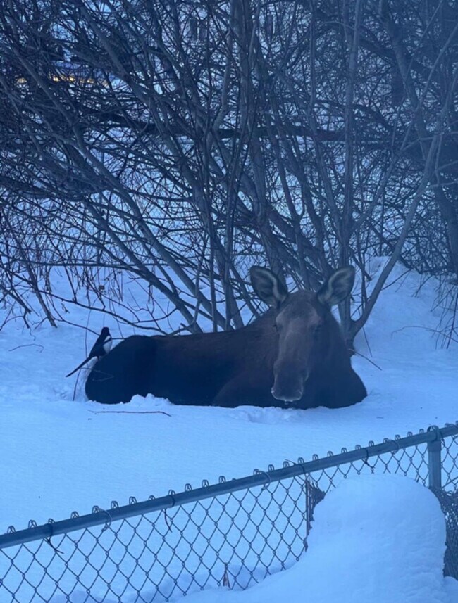 Foto del edificio - 319 W 12th Ave