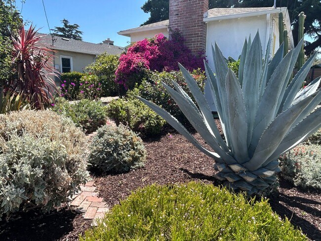 Foto del edificio - Gorgeous San Leandro Bungalow!
