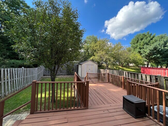 Back Yard - 2635 Deer Ridge Dr