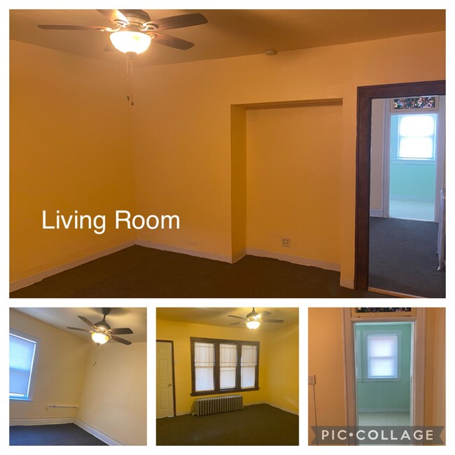 9231 S Brandon Ave Unit 2, Chicago, IL 60617 Room for Rent in Chicago