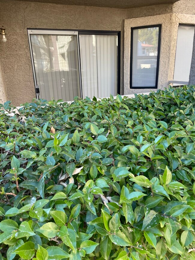 Building Photo - 5038 S Rainbow Blvd
