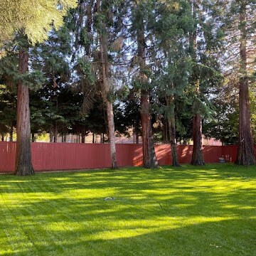 Foto del edificio - 10302 141st St Ct E