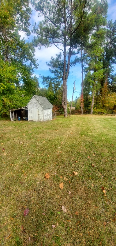 Building Photo - 1243 Nathalie Rd