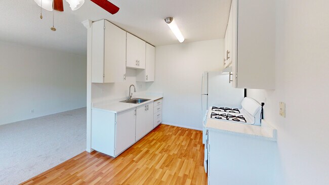 Building Photo - 1004 Ignacio Blvd