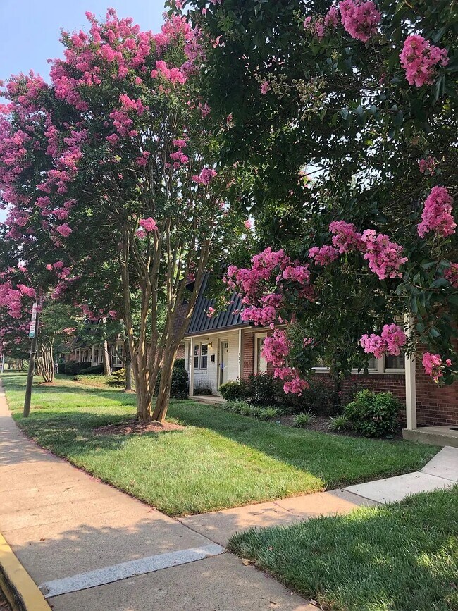 Foto del edificio - 453 Hampton Ct