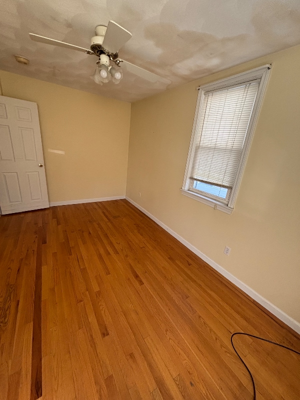 Building Photo - 53 Clemence St