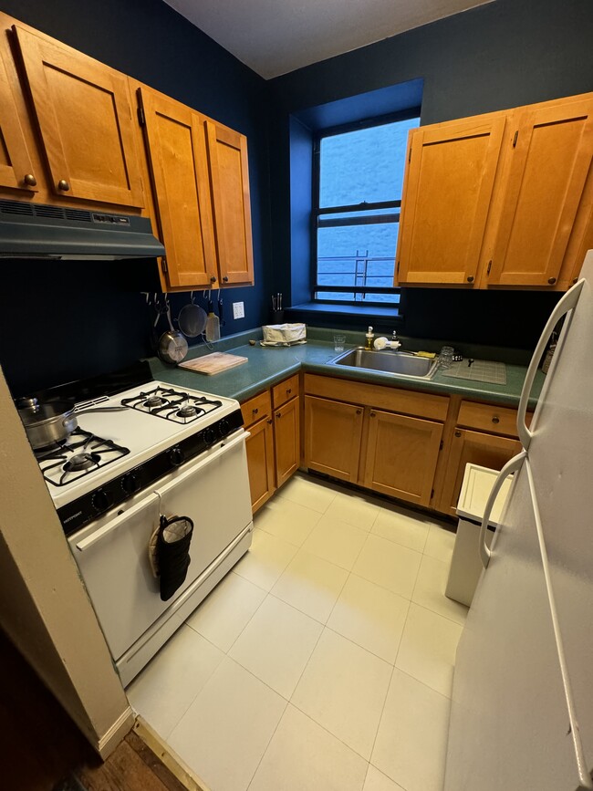 kitchen - 245 E 123rd St