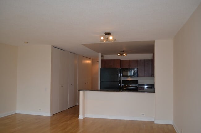 Foto del edificio - 474 N Lake Shore Dr