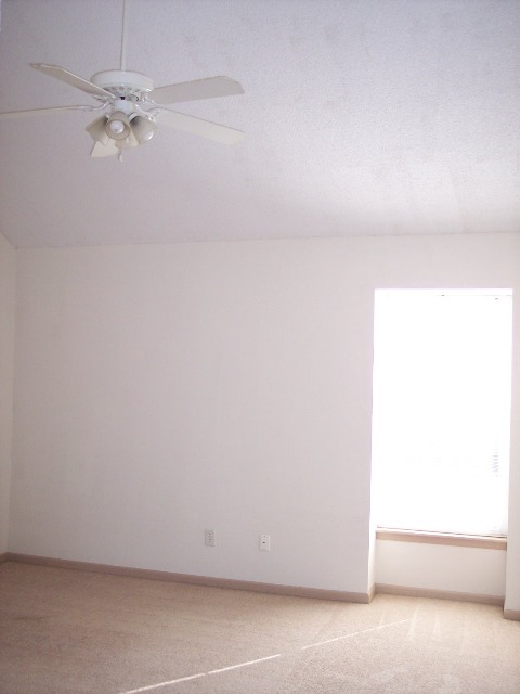 Master bedroom - 1201 Pebblecreek Dr