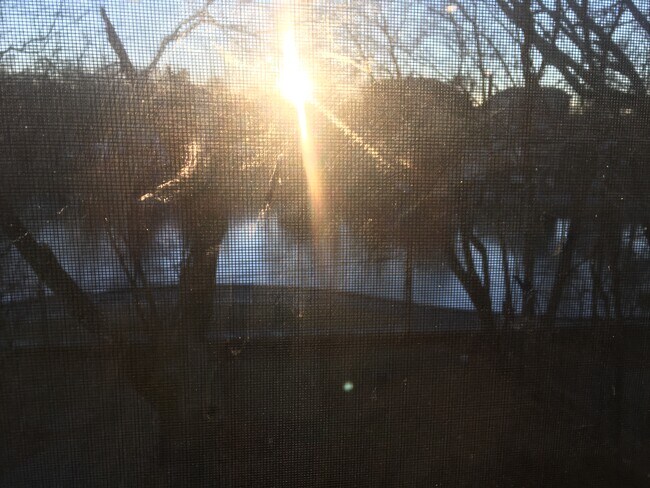 Building Photo - 30 Gates St