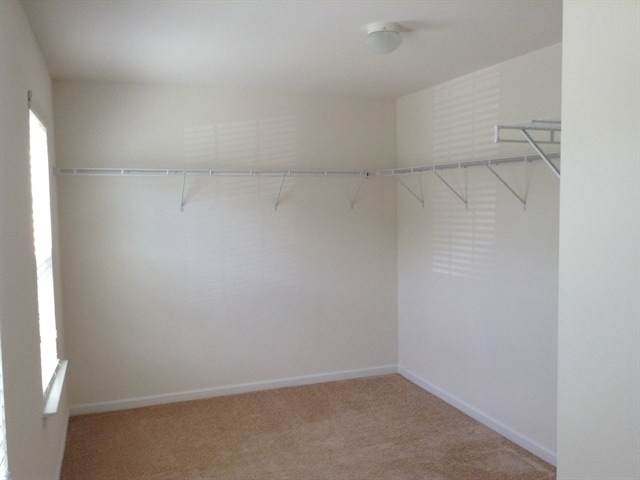 Building Photo - 3604 Blue Spruce Court