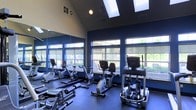 This single-floor fitness center offers a thoughtfully designed workout environment built to support an active lifestyle. The room is anchored by vaulted ceilings that lend a sense of openness and grandeur, while a series of skylights and large, floor-to-ceiling windows along the perimeter allow abundant natural light to fill the space throughout the day. The windows also provide views of the surrounding outdoor greenery, creating an energizing atmosphere for exercise.

The interior is finished with deep navy blue accent walls, contrasting with lighter upper walls and ceiling tones to create a modern, motivating aesthetic. The dark rubberized flooring is both durable and practical, well-suited for high-traffic fitness use.

The gym is equipped with a comprehensive selection of cardio machines, including stationary bikes, elliptical trainers, and additional fitness equipment arranged to maximize floor space and ease of movement. Full-length mirrors line one wall, enhancing the sense of space and allowing users to monitor their form during workouts.

Overhead recessed and mounted lighting complements the natural light sources, ensuring the space remains bright and well-lit at all hours. Overall, this fitness center combines functional equipment, thoughtful design, and an inviting ambiance to deliver a complete exercise experience.