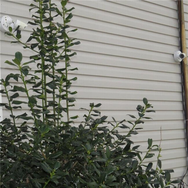 Building Photo - 116 Webster Ave