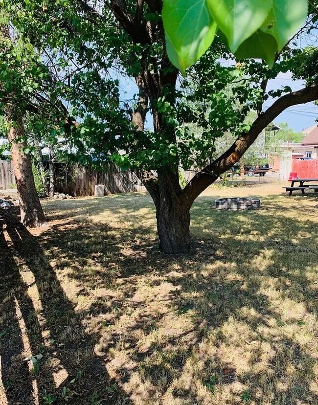Building Photo - $2,700 - 4 bed/2 bath House with fenced yard