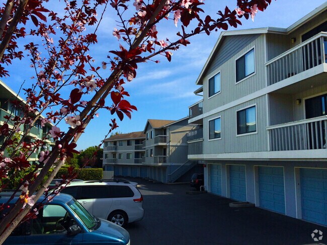 Francisco Terrace Apartments For Rent With High Ceilings Photo Inspiration