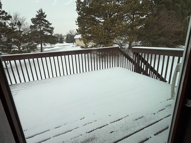 Foto del edificio - 2528 Birchview Ln