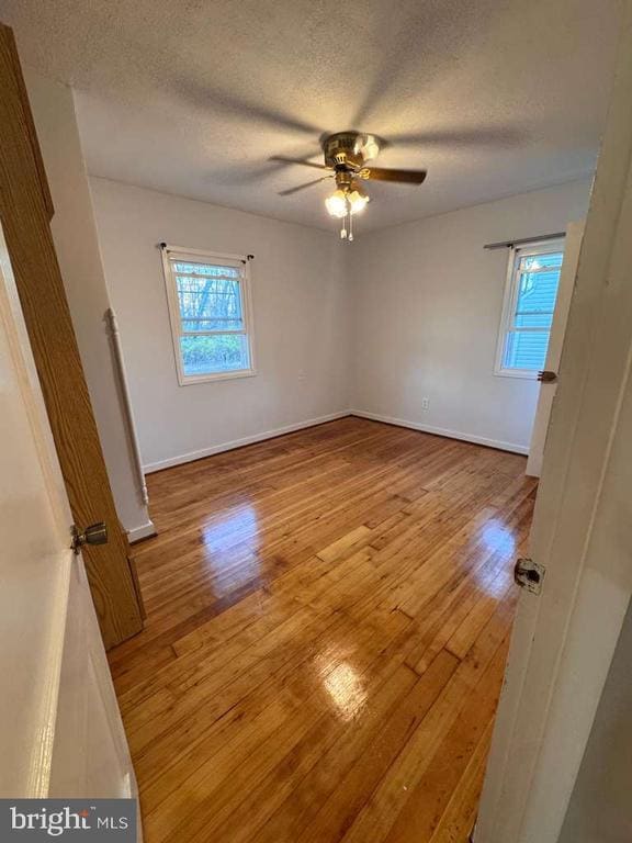 Foto del edificio - 3007 Elmwood Dr