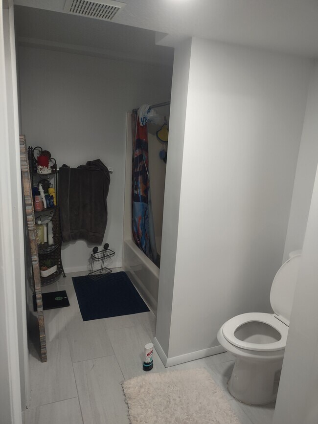 Baño - 11257 S Cedar View Cir
