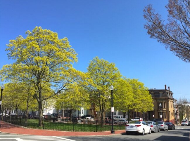 Foto del edificio - 75 Putnam St