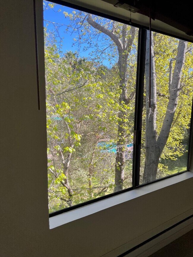 Foto del edificio - 6351 Shelter Creek Ln