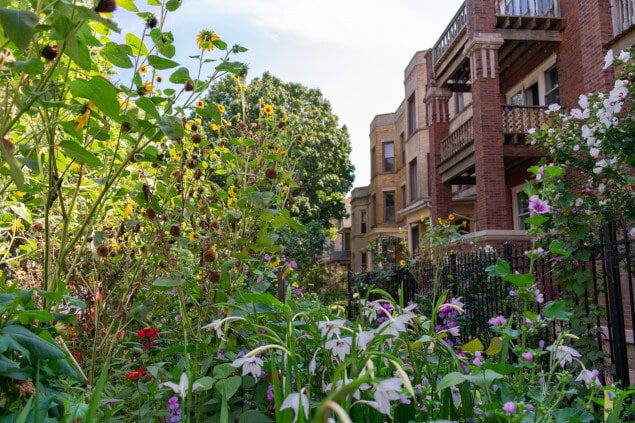 A beautiful garden in front of homes in Andersonville