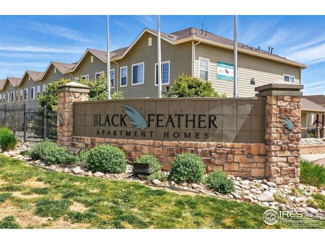 Building Photo - 457 Black Feather Loop