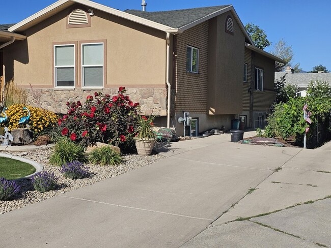 Building Photo - 9522 S Tarbert Cir