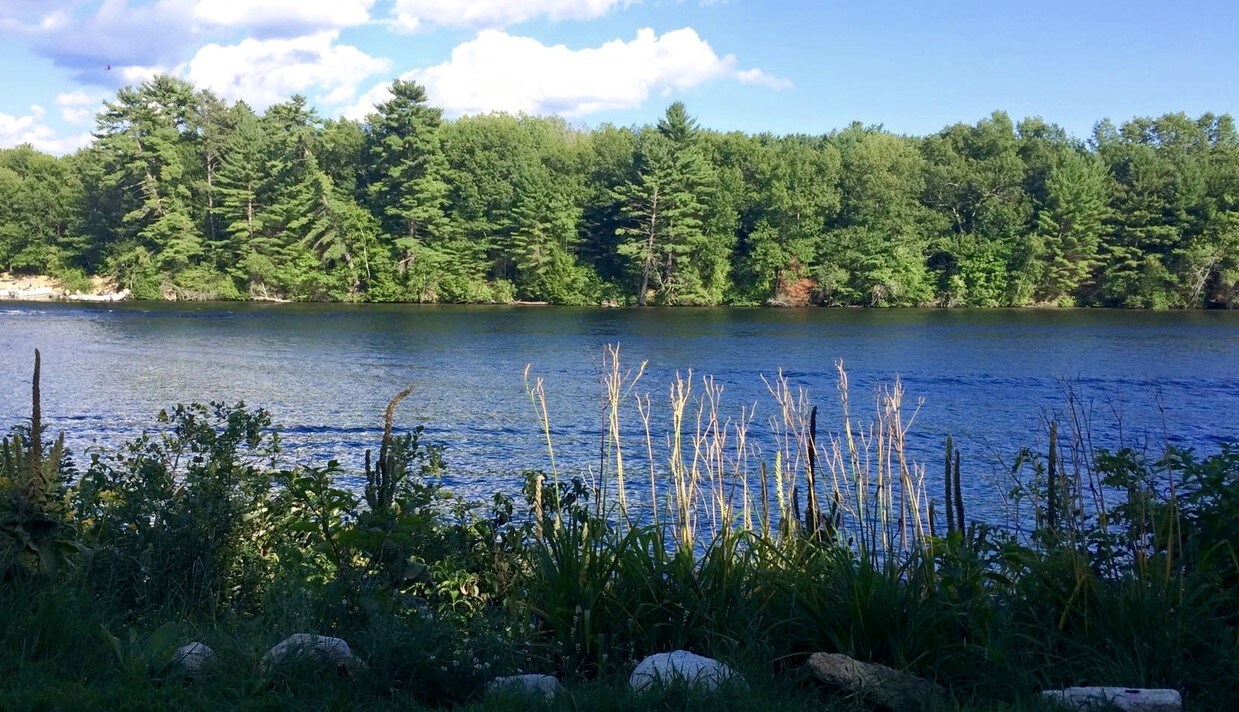 View from side yard/back of house - 109 W Riverbank Rd