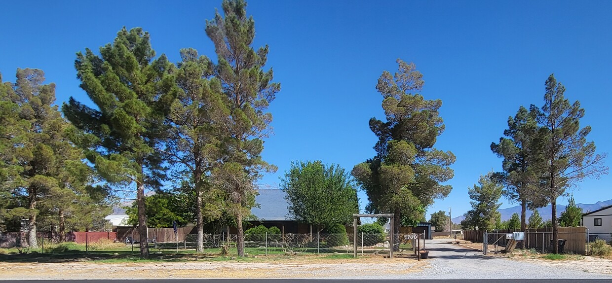 Primary Photo - 1700 W Mesquite Ave