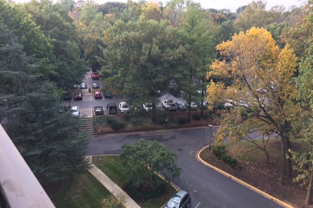 Outdoor Guest Parking - 5225 Pooks Hill Rd