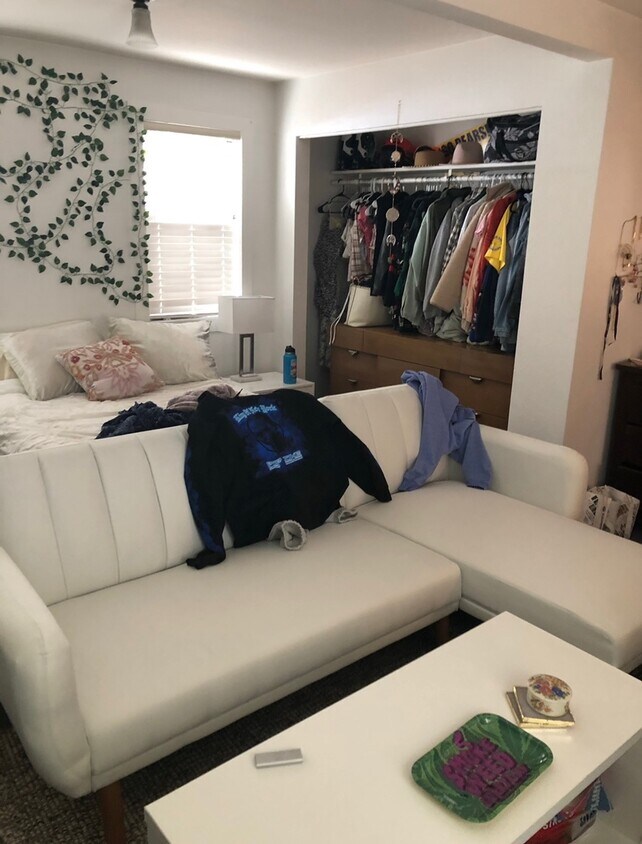 closet and dresser in the room and couch can stay as well - 2521 College Ave