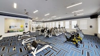 This fitness center is a comprehensive, single-floor facility designed to support a wide range of workout routines. The main gym floor is generously sized and finished with a striking blue, black, and white geometric patterned carpet that lends a dynamic, energetic aesthetic throughout the space. The walls feature bold navy horizontal stripe accents set against a crisp white background, creating a clean and motivating environment.

The main workout area is outfitted with an extensive selection of equipment, including multiple treadmills, stationary and spin bikes, cable machines, strength training stations, free weights with a full dumbbell rack, and weight benches. Large windows line the walls, inviting abundant natural light, while ceiling fans and recessed linear lighting ensure the space remains bright and comfortable. Full-length mirrors along one wall expand the sense of space and allow for proper form checks during exercise.

A separate stretching and yoga studio adjoins the main floor, accessible through large glass-paned French doors. This quieter room features soft blue carpet, a wall-mounted television, stability balls, step platforms, exercise mats, and an interior window overlooking the main gym.

An additional small flex room with blue carpet and a large interior-facing window provides further space for mat-based exercises or cool-down routines, offering a clear sightline into the main gym floor.