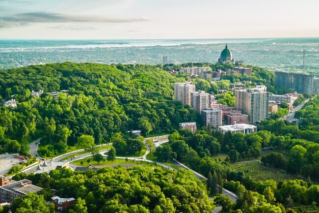 Aerial view from Mt. Royal